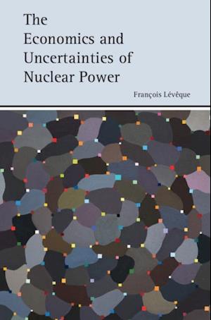 Economics and Uncertainties of Nuclear Power