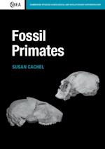 Fossil Primates