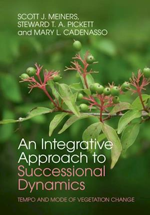 Integrative Approach to Successional Dynamics