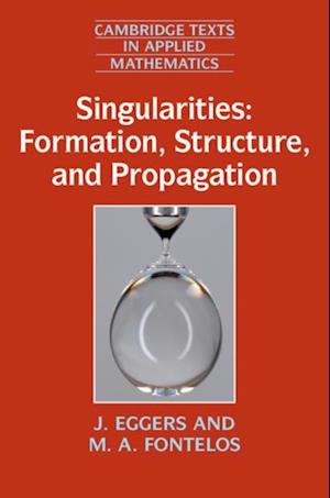 Singularities: Formation, Structure, and Propagation