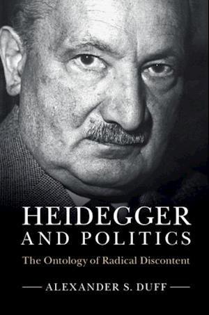 Heidegger and Politics