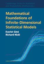 Mathematical Foundations of Infinite-Dimensional Statistical Models