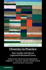 Diversity in Practice