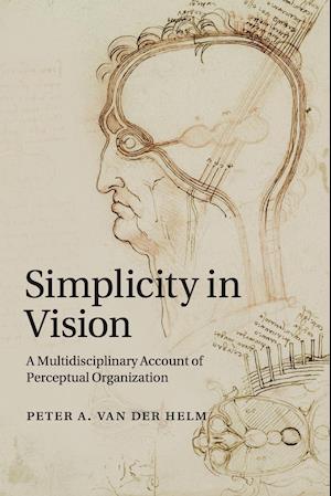 Simplicity in Vision