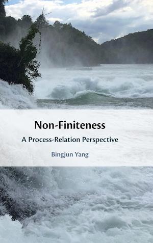 Non-Finiteness