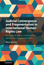 Judicial Convergence and Fragmentation in International Human Rights Law