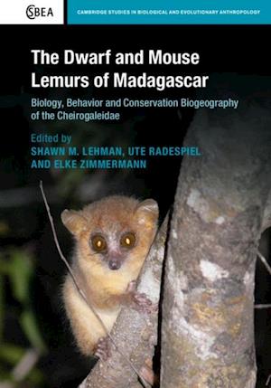 Dwarf and Mouse Lemurs of Madagascar