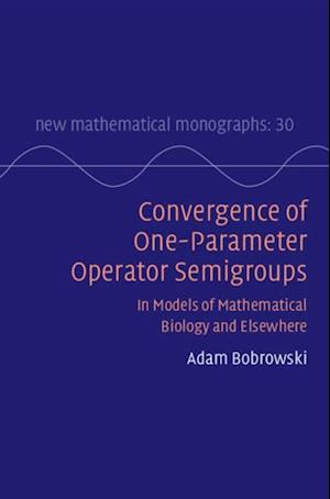 Convergence of One-Parameter Operator Semigroups