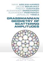 Grassmannian Geometry of Scattering Amplitudes