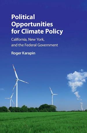 Political Opportunities for Climate Policy