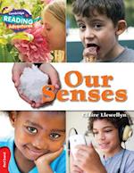 Cambridge Reading Adventures Our Senses Red Band