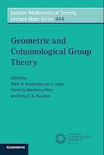 Geometric and Cohomological Group Theory