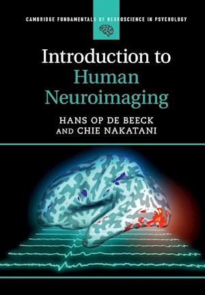 Introduction to Human Neuroimaging