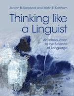 Thinking like a Linguist