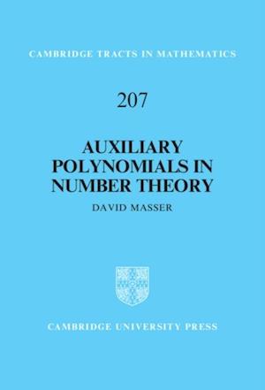 Auxiliary Polynomials in Number Theory