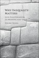 Why Inequality Matters
