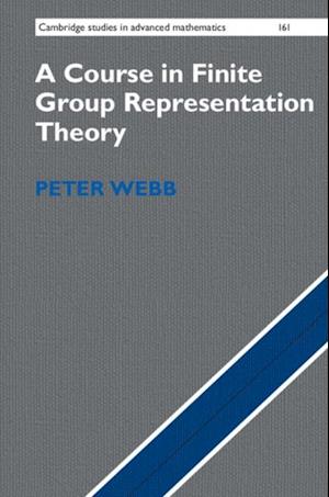 Course in Finite Group Representation Theory