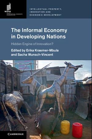 Informal Economy in Developing Nations