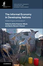 Informal Economy in Developing Nations