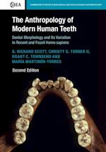 Anthropology of Modern Human Teeth