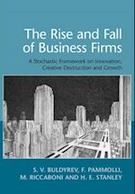 Rise and Fall of Business Firms