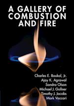 Gallery of Combustion and Fire