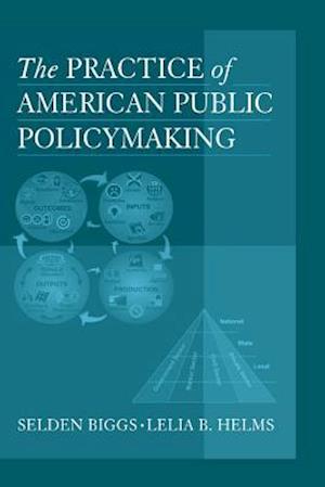 Practice of American Public Policymaking