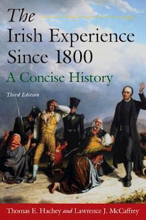 Irish Experience Since 1800: A Concise History