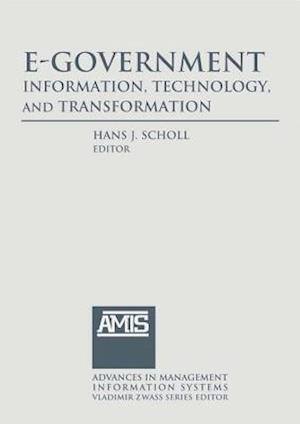 E-Government: Information, Technology, and Transformation