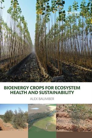 Bioenergy Crops for Ecosystem Health and Sustainability