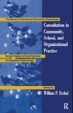 Consultation In Community, School, And Organizational Practice