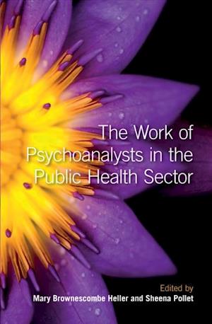 Work of Psychoanalysts in the Public Health Sector