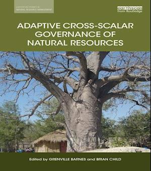 Adaptive Cross-scalar Governance of Natural Resources