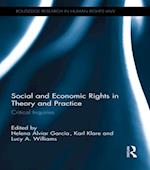 Social and Economic Rights in Theory and Practice