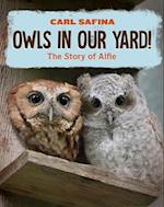 Owls in Our Yard!