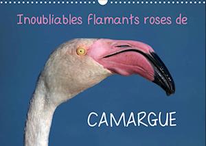Inoubliables flamants roses de Camargue (Calendrier mural 2023 DIN A3 horizontal)