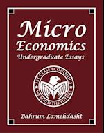 Microeconomics - Undergraduate Essays and Revision Notes