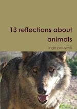 13 reflections about animals