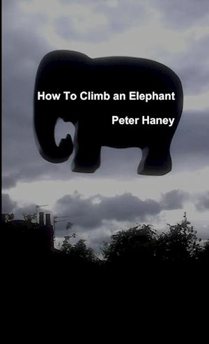 How to Climb an Elephant