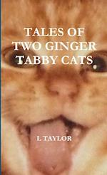 Tales of Two Ginger Tabby Cats 