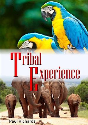 Tribal Experience