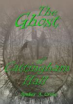 The Ghost of Cattingham Hall