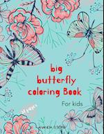 Big Butterfly Coloring Book