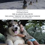 Getting to know THE ALASKAN MALAMUTE THE LOYAL ÒFRIENDÓ OF THE GREAT NORTH
