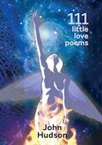 111 Little Love Poems 