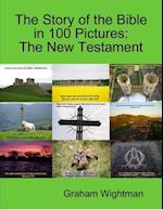 Story of the Bible In 100 Pictures: The New Testament