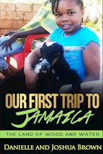 Our First Trip To Jamaica - land of wood and water
