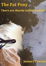 The Fat Pony - There are Sharks in that puddle! 