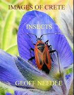 Images of Crete - Insects