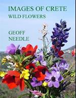 Images of Crete - Wild Flowers
